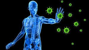 Simple supplements that have a big impact on ones immune system.