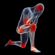 Joint Health! How to protect or repair your joints.