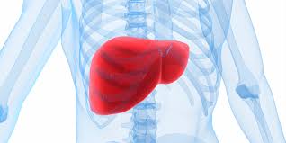 Support your liver, it is important.
