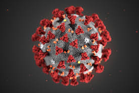 Corona Virus Scare - in perspective from a natural approach