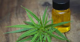 CBD Oil Which one and what does it do?