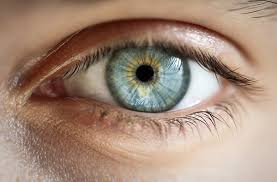 All about protecting your eyes