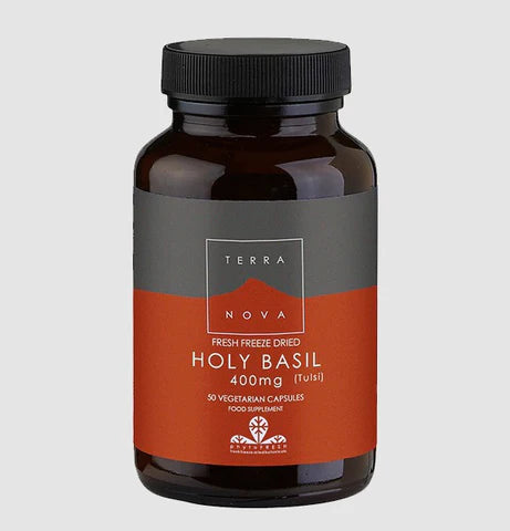 Why is Holy basil so Amazing?