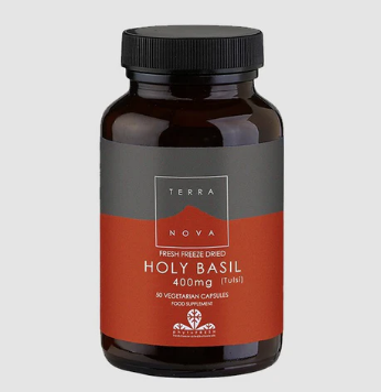 LSC Holy Basil