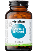 supplement for cognitive function